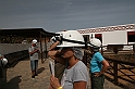 Kanary_2010 193